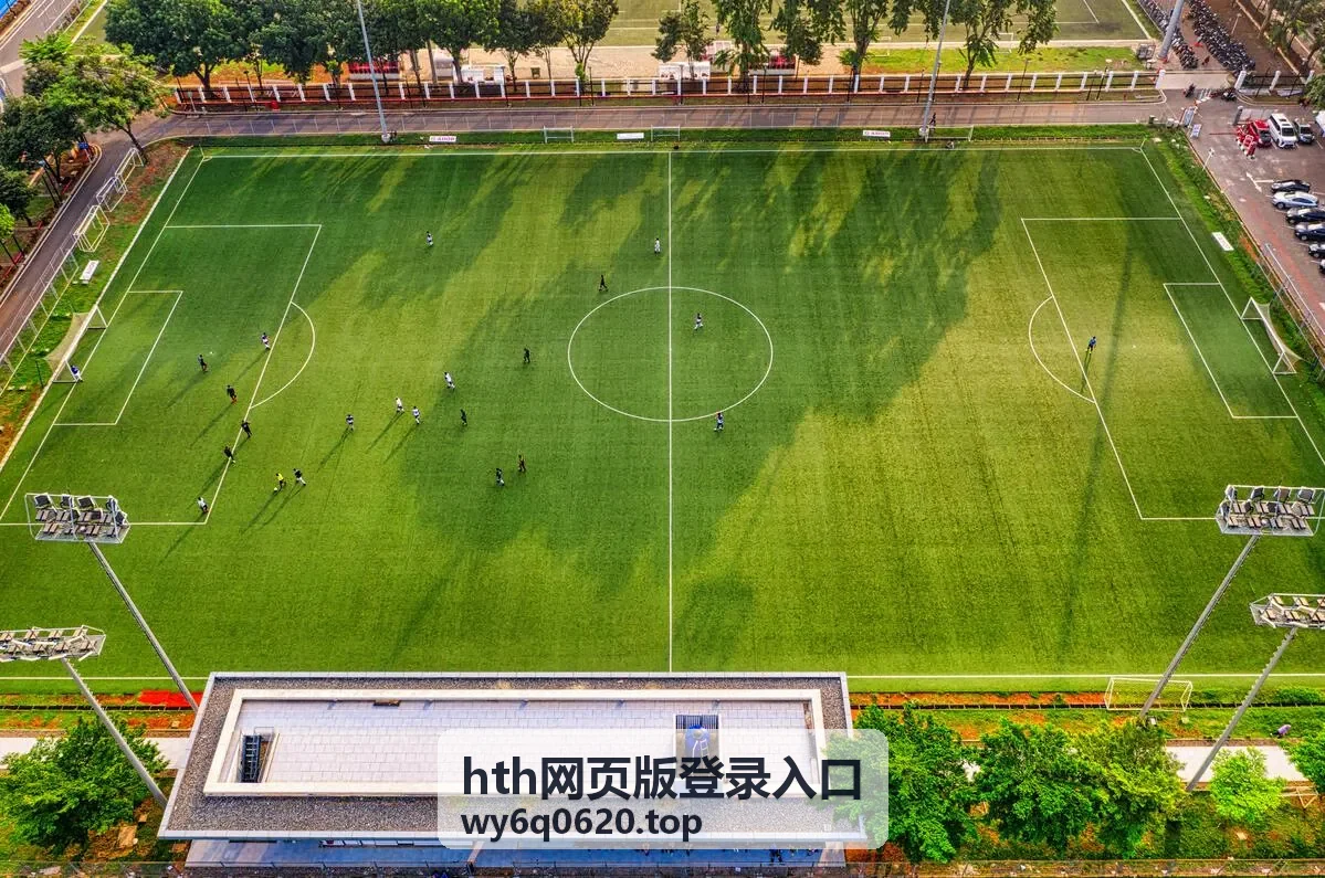 hth网页版登录入口在桌面浏览器中的界面展示